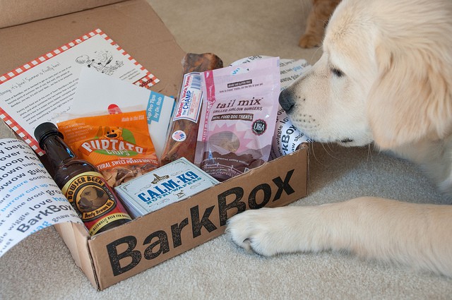 bark box contents