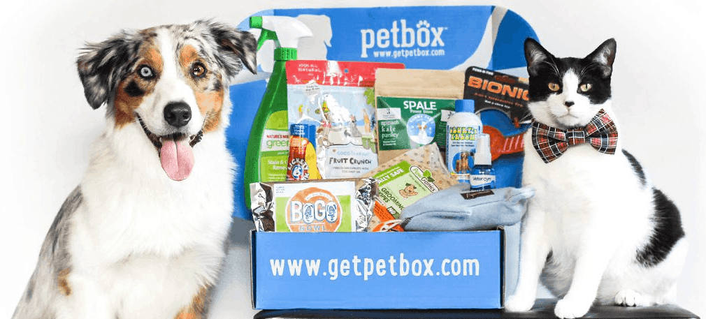 monthly subscription box for cats