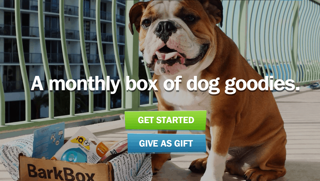 Bark Box Review: Is BarkBox Worth It?