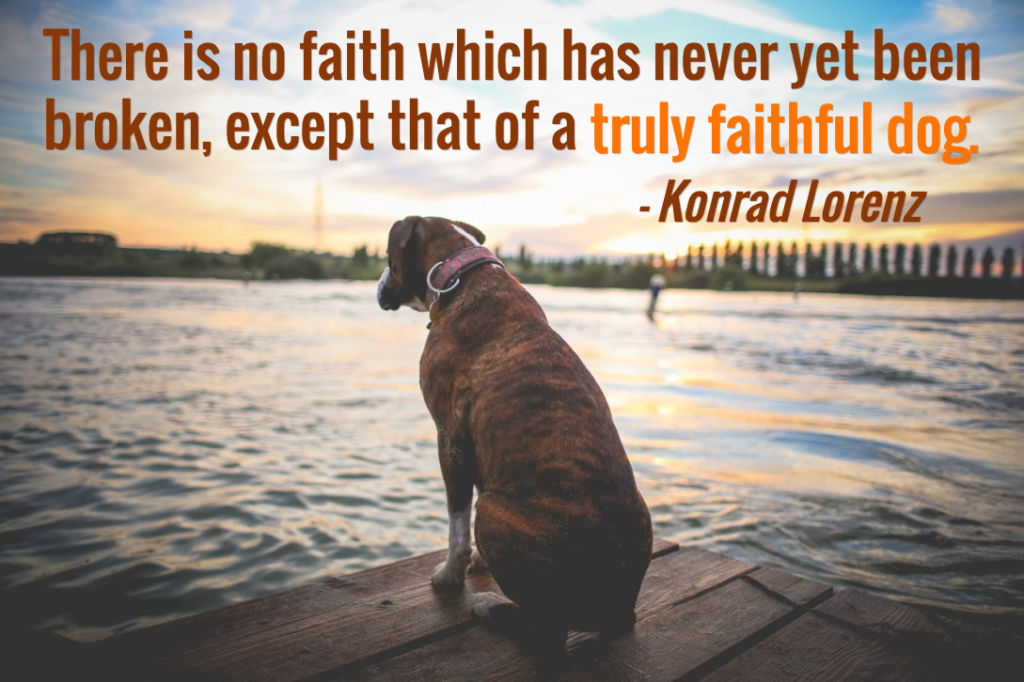 quotes for dog lovers