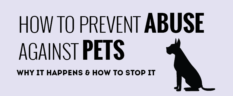 Pet Abuse Infographic: How to Prevent Animal Abuse