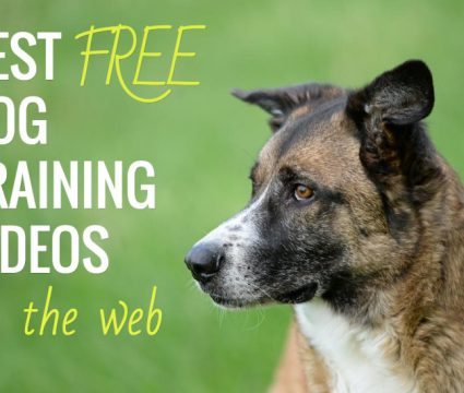 best free online dog training videos