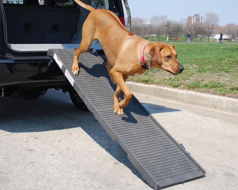 dog car ramp