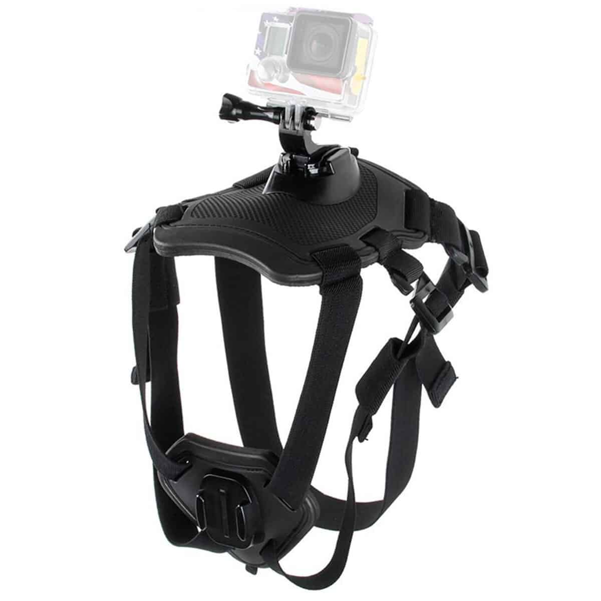 GoPro Dog Mount 3 Different Choices for Camera Canines!