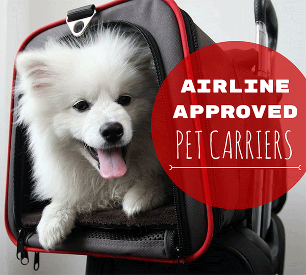 Best Airline Approved Pet Carriers (For 