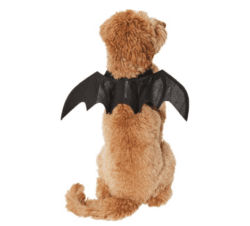 Frisco Bat Wings e1663166133754