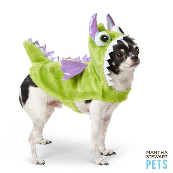 best halloween costumes for dogs