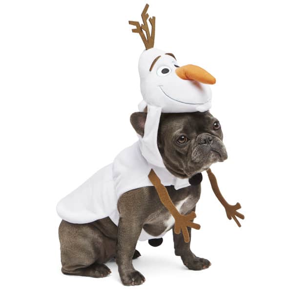 greatest dog halloween costumes