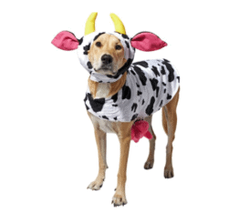 happy cow costume e1663196827833