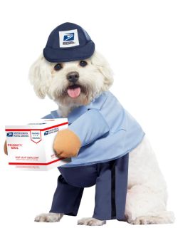 mail carrier costume