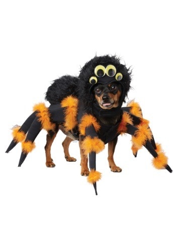 spider costume for dogs