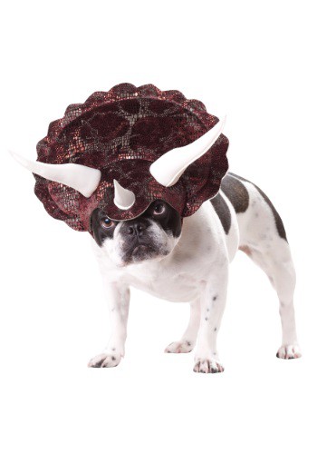 triceratops costume for dogs