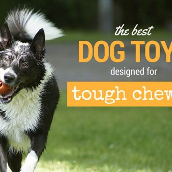 best dog toys for aggressive chewers