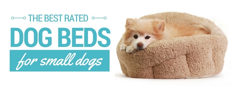 best rated dog beds for small dogs