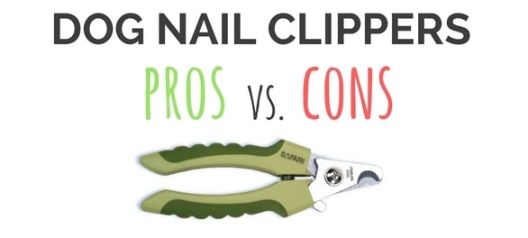 dog nail clippers vs grinders