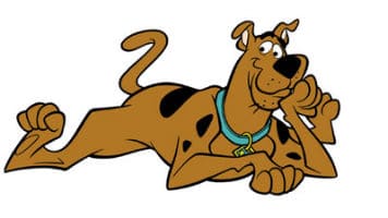 what type of dog is scooby doo