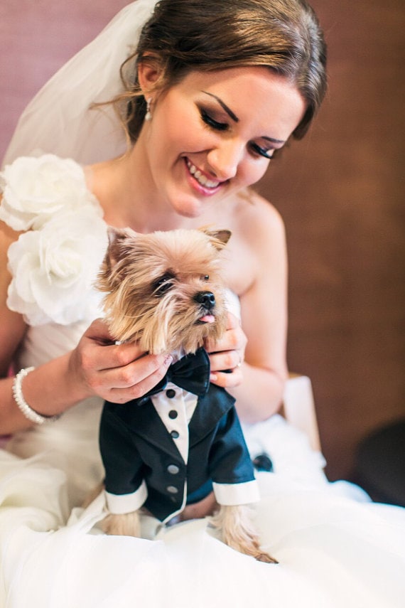 dog wedding clothes