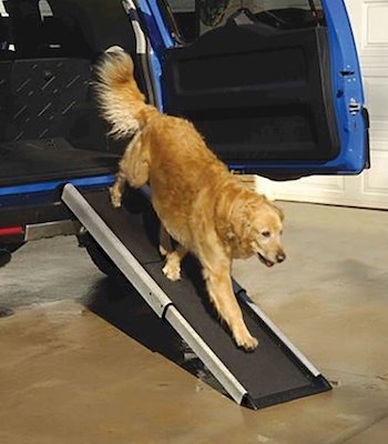 dog arthritic ramp