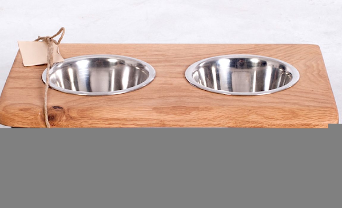 best raised dog bowls