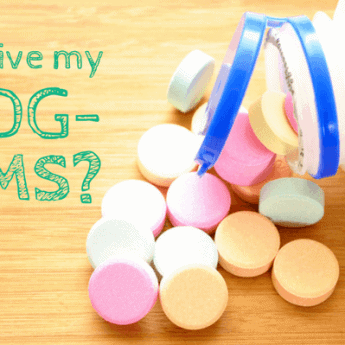 can I give my dog tums