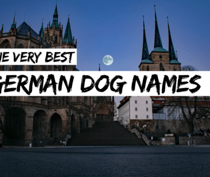 german-dog-names