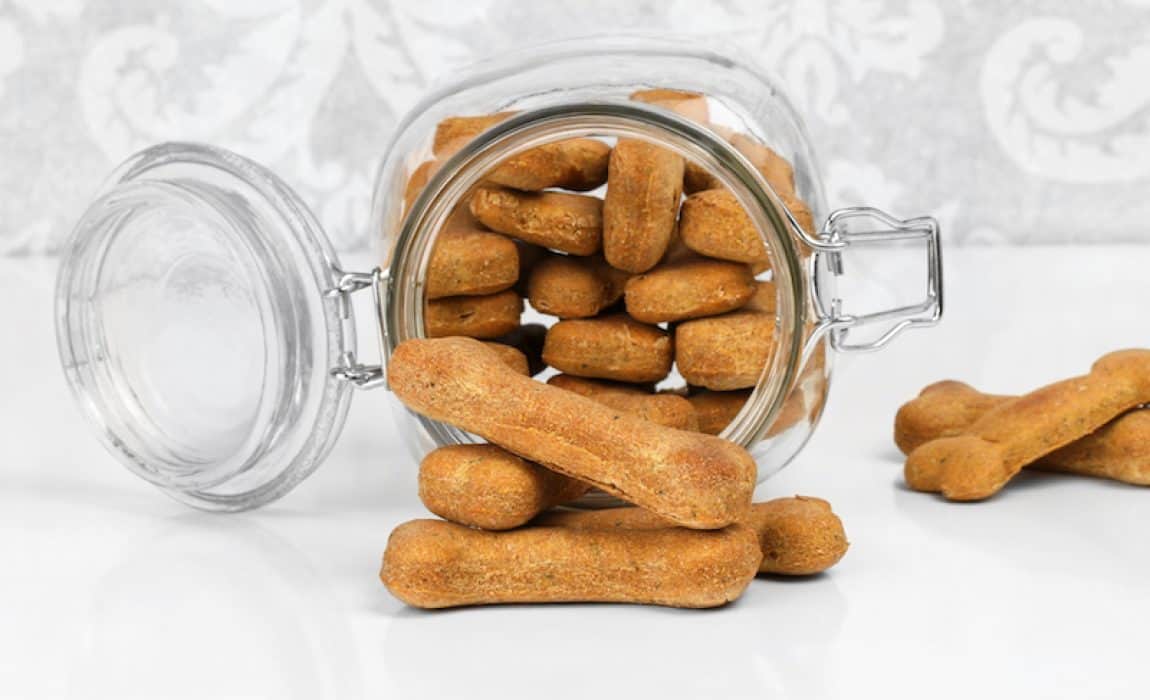 Homemade dog biscuits
