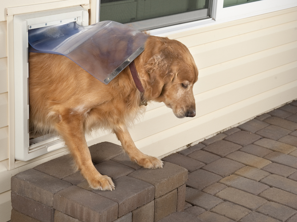 exterior door with doggie door installed