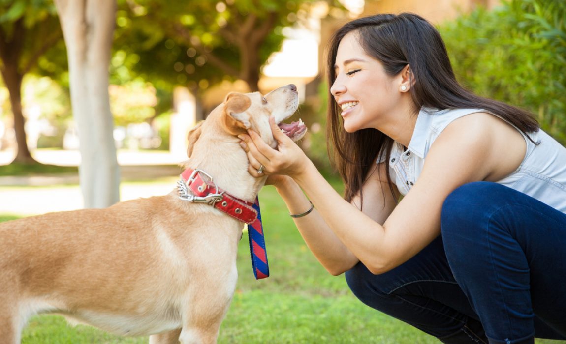 6 Best Jobs for Dog Lovers: Make a Living Off of Loving Canines!