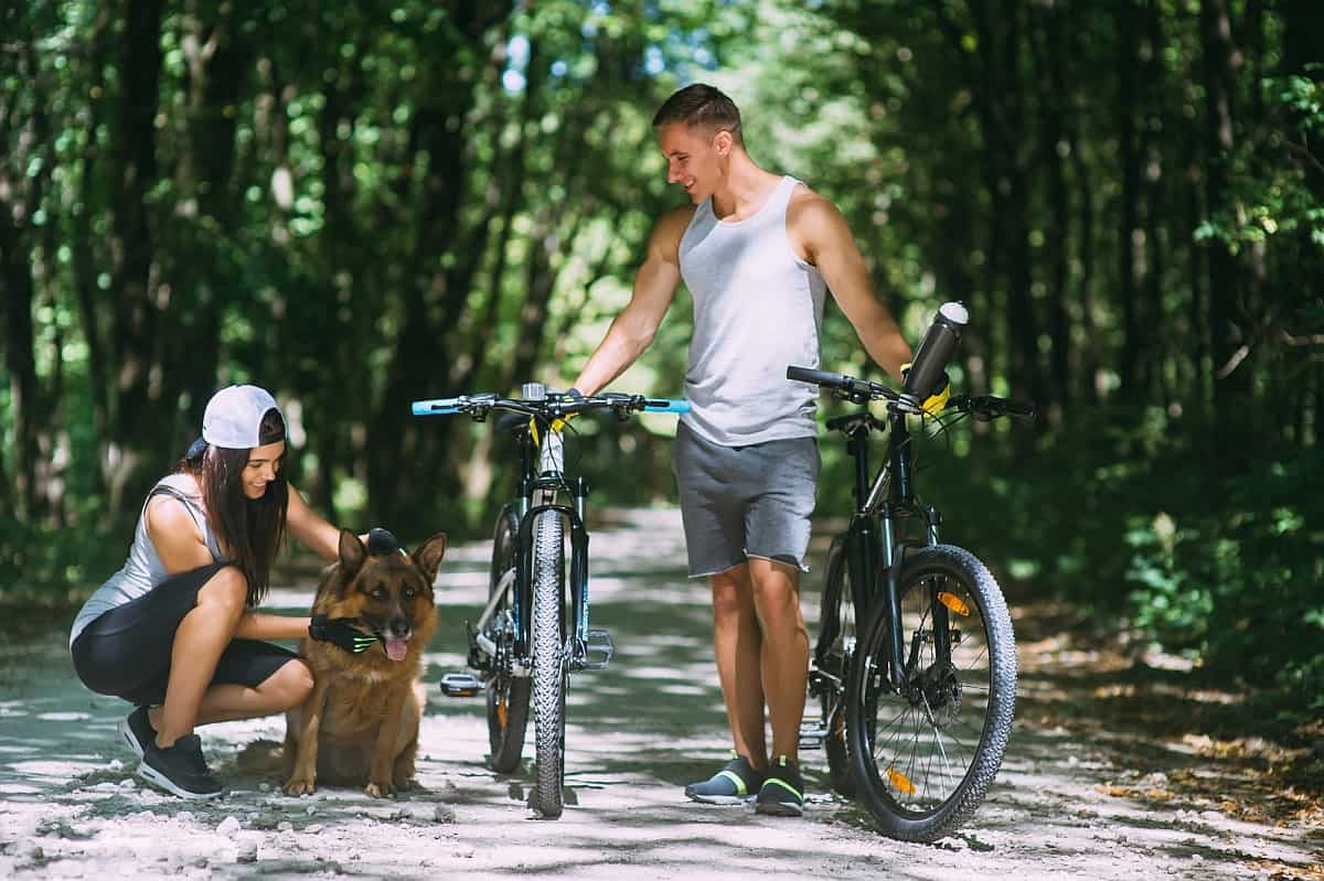 Walmeck Dog Pet Leash for Bike Exercise Hands Free Bike Walk Run Attachment Accessory 