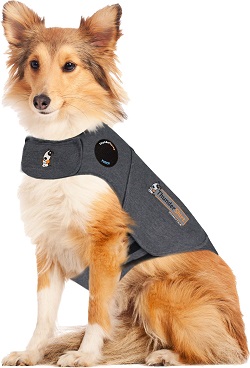 Best vest for dogs