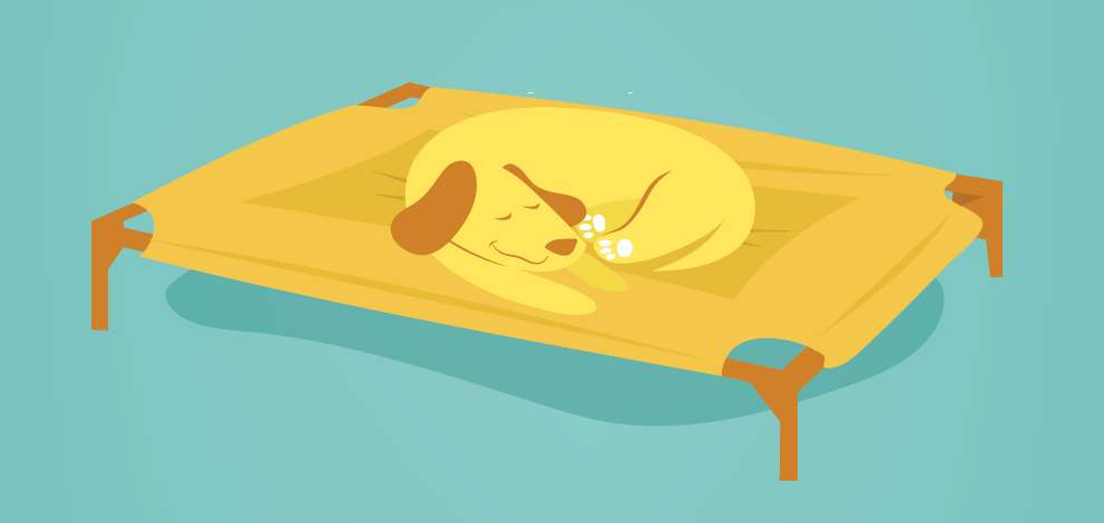 hammock dog bed