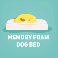 memory foam bed small