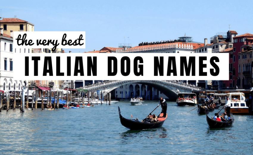 italian-dog-names