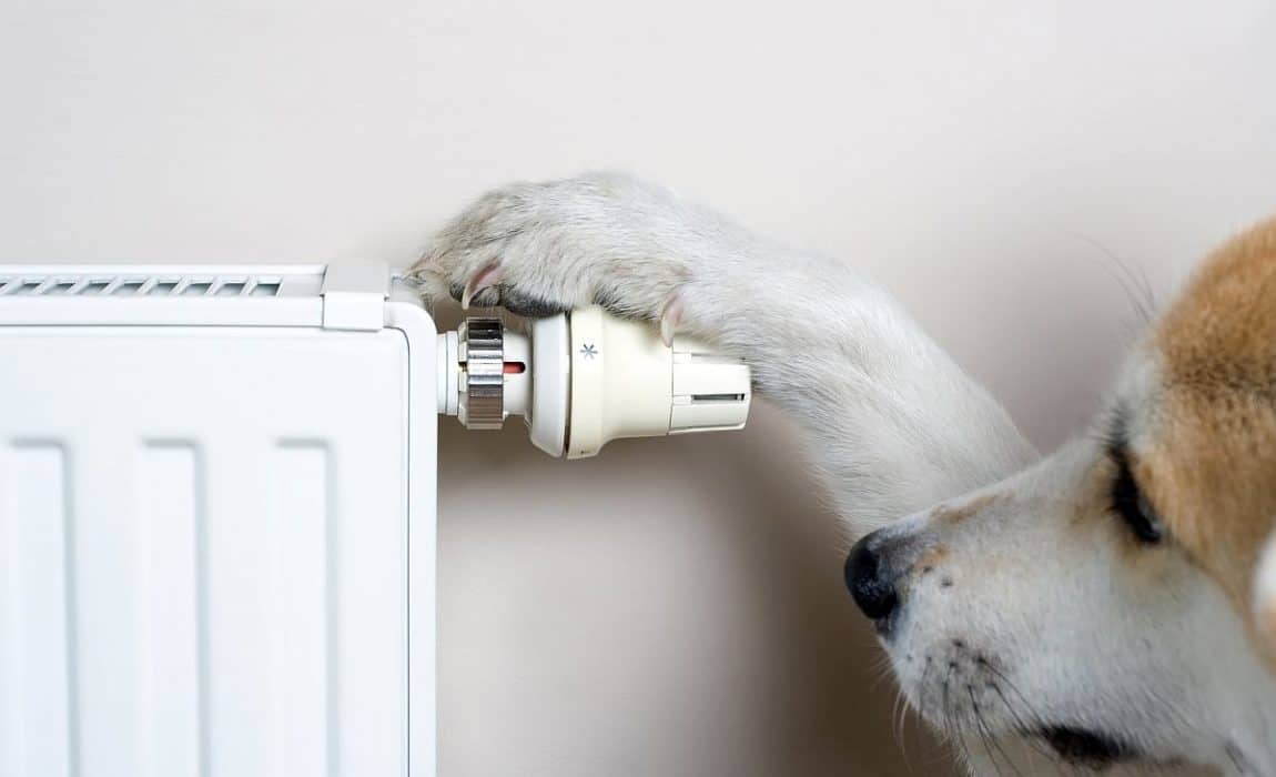 Heat A Dog House Without Electricity, Are Heat Lamps Safe For Dogs