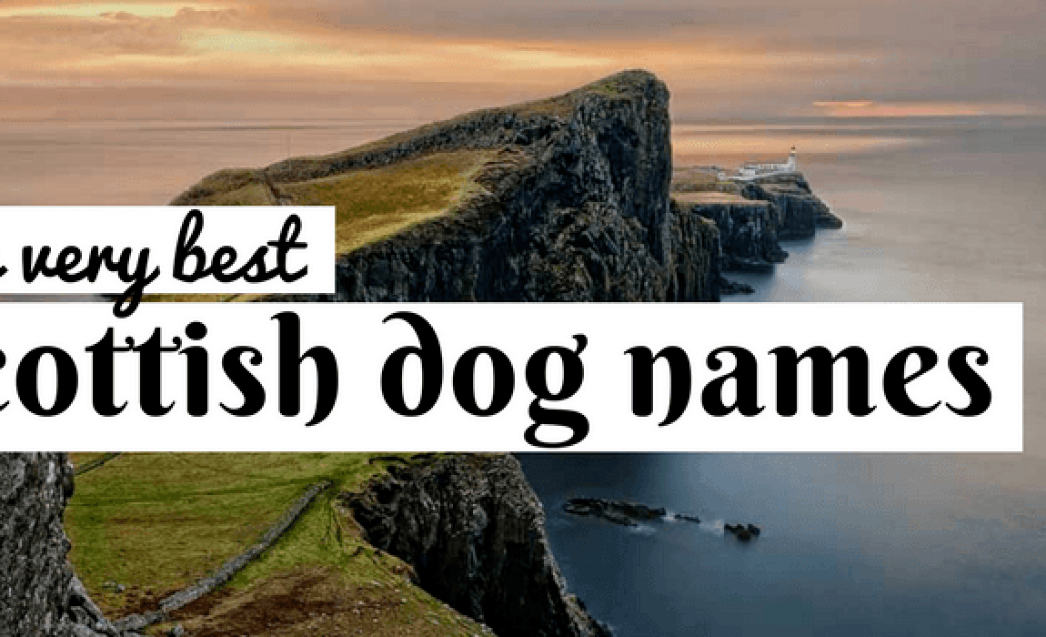 scottish dog names