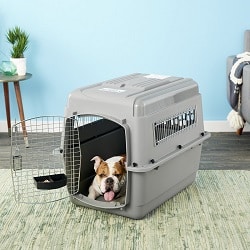 Best dog crates for large dogs