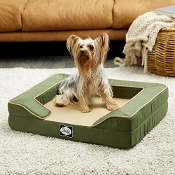 best summer beds for dogs