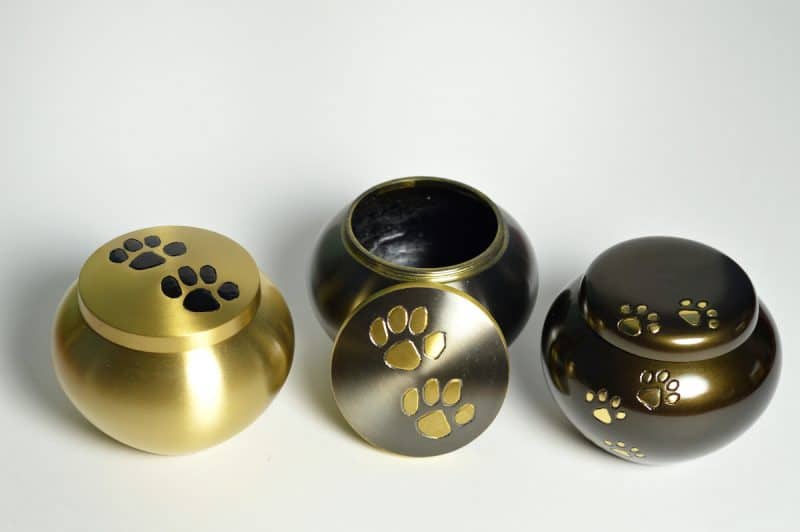 dog-urns