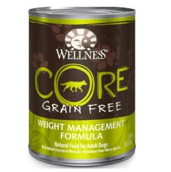 wellness core