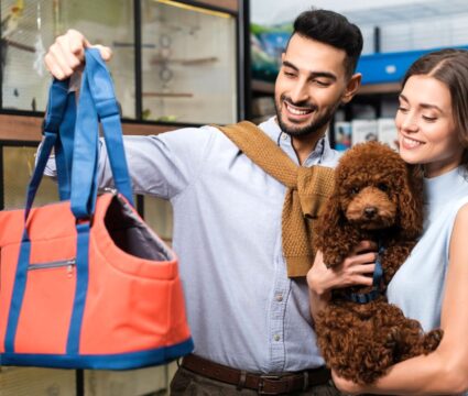 choosing carrier purse for dogs
