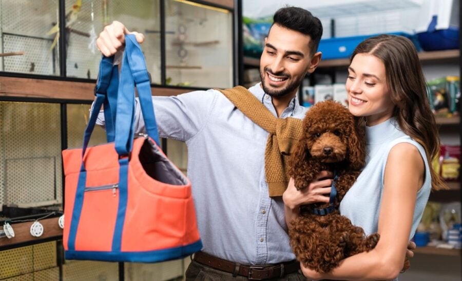 Dog Bag Monogram - Art of Living - Trunks and Travel | LOUIS VUITTON ®