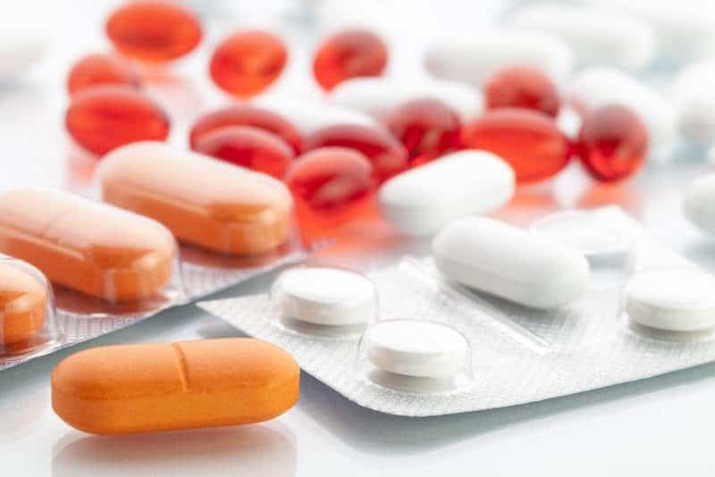 How Long Can a Dog Go Without Eating? 2 dog behavioral medications
