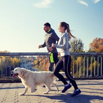 best dog repellent for runners