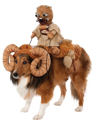 bantha-dog-costume