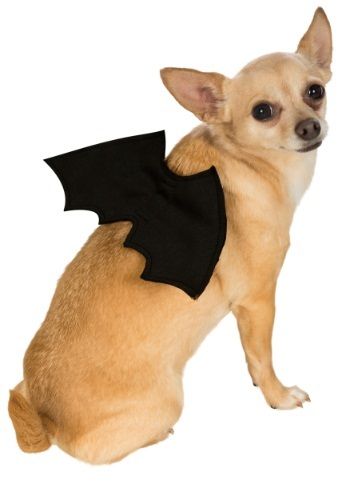 bat-wings-pet-costume