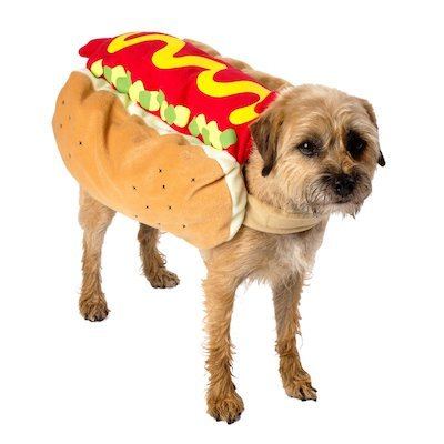 dog-hot-dog