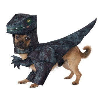 dog-pupasaurus-rex-costume