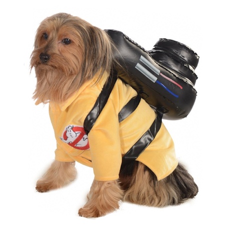 ghostbusters-dog