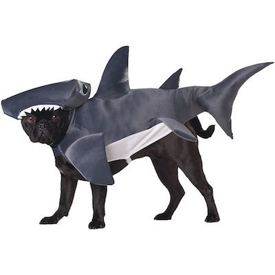shark dog costume