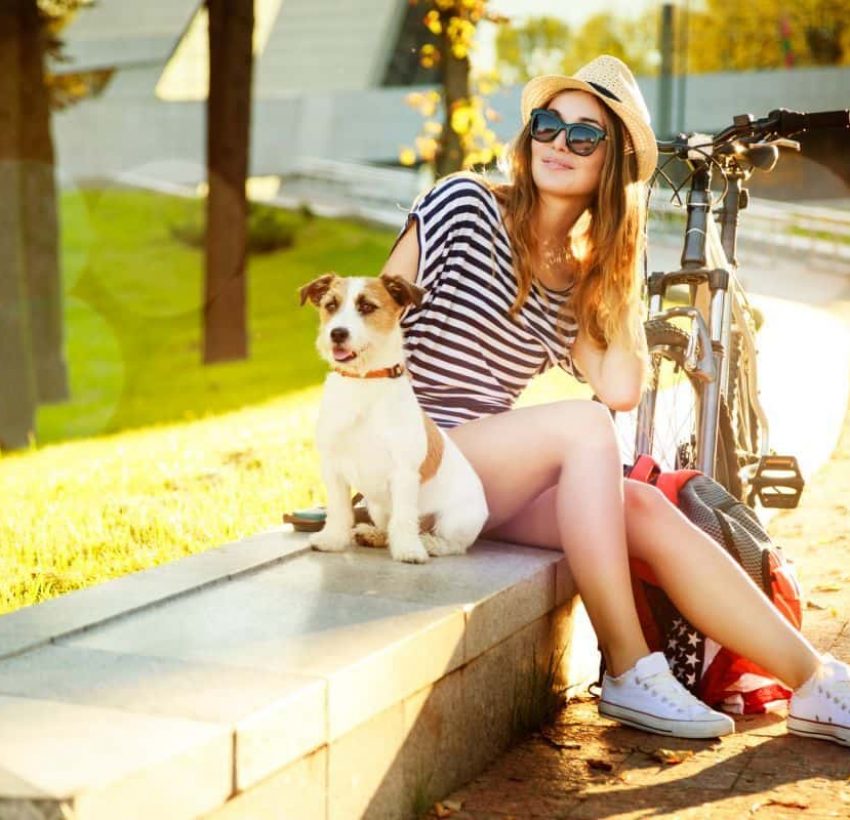 View of 12 Best Airline Approved Pet Carriers (For In-Cabin Flights)